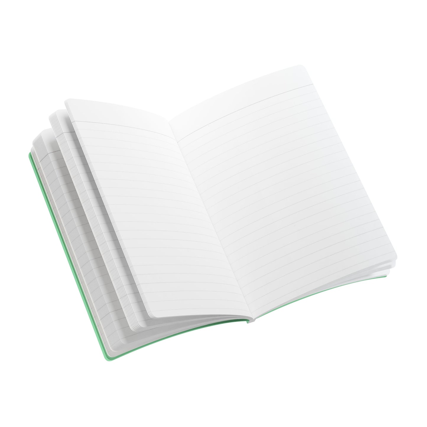 GGWM Challenge Journal - Mint